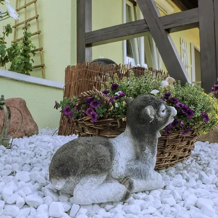 Apartment Ostseetraum Whg 1 Dahme (Schleswig-Holstein)